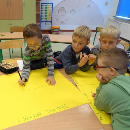 Wyświetl org. rozmiar