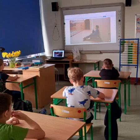 Wyświetl org. rozmiar