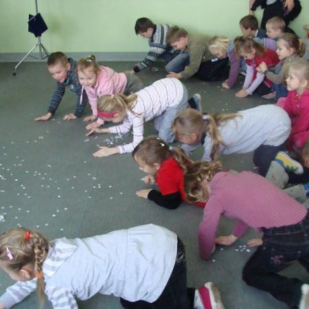 Wyświetl org. rozmiar